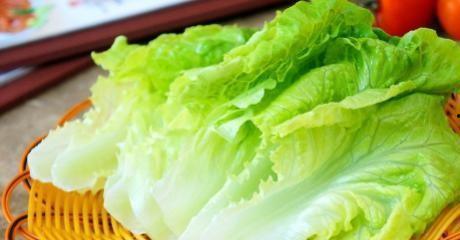 茭瓜和生菜能一起吃吗,健康饮食新选择