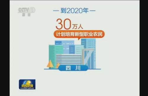新闻头条的点赞率,头条新闻点赞率揭秘