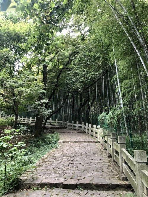 虞山网红动,探寻江南水乡的活力与魅力