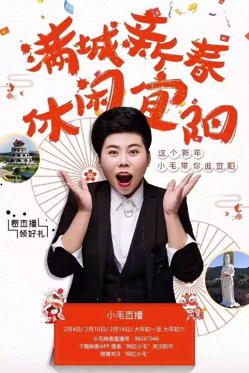 网红宜阳,网红打卡地，探寻古韵新潮的美丽画卷