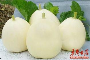 甜瓜乐园作者爆料视频,揭秘创作背后的故事与灵感来源