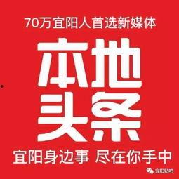 宜阳本地头条,聚焦本土新鲜事，解码宜阳发展脉动