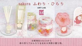 室内香薰明星推荐,打造家居香氛新潮流