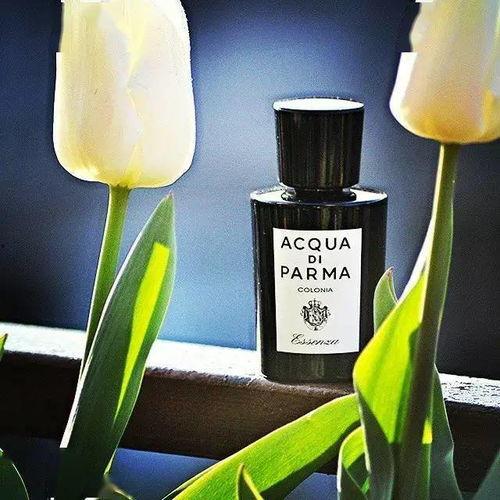 汕尾网红香水品牌,揭秘网红香水品牌的崛起之路