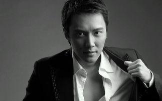 影视明星男大陆,大陆影视明星风采掠影