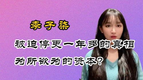 停更的网红,网红停更背后的故事与启示