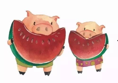 吃瓜猪猪特效图文,萌态可掬，趣味横生