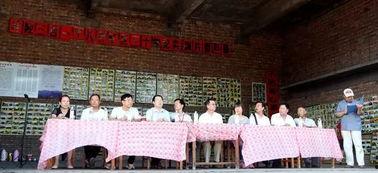 井陉县中乐最新头条,揭秘中乐发展新篇章