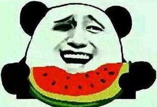 没瓜吃啥,没瓜吃啥的饮食攻略