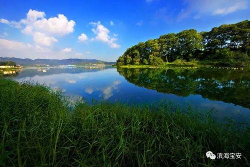 深圳石岩水库新闻头条,水质改善与生态保护齐头并进