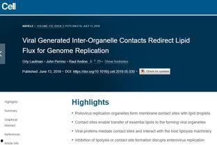 看料投稿要求,如何抓住热点，提升内容质量