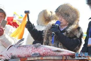 冬捕明星,揭秘冬捕明星的传奇故事