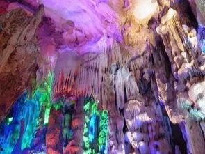 宁化天鹅洞最近新闻头条,揭秘洞穴神秘历史遗迹