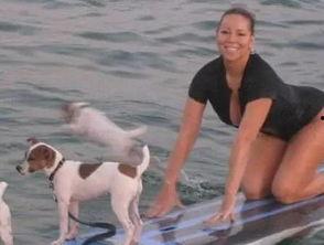 娱乐吃瓜君小狗